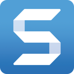 Snagit Invidual